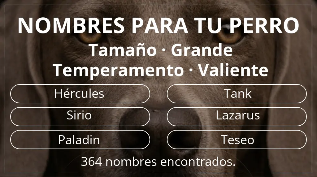 Nombres para perro inspirados en tamaño grande y temperamento valiente