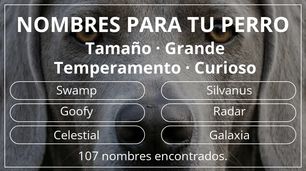 Nombres de perro inspirados en tamaño grande y temperamento curioso