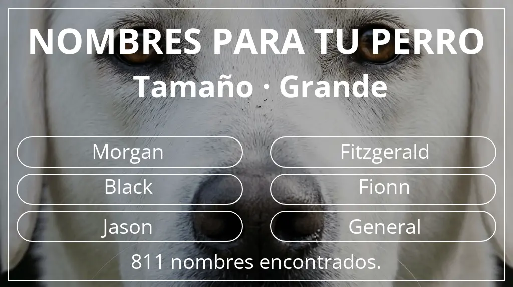 Nombres para perro basados en tamaño grande