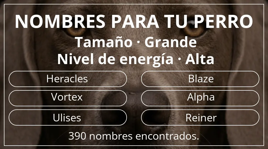Nombres para perro basados en tamaño grande y nivel de energía alta