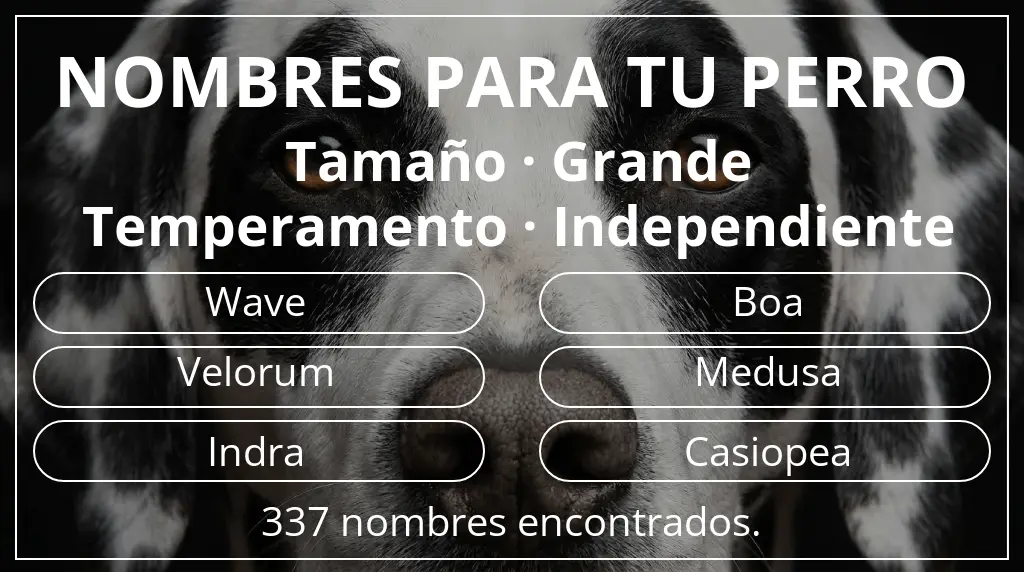 Nombres de perro inspirados en tamaño grande y temperamento independiente