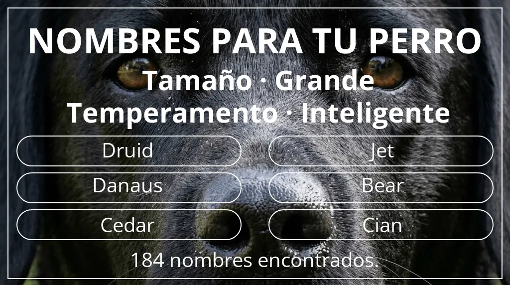 Nombres de perro inspirados en tamaño grande y temperamento inteligente