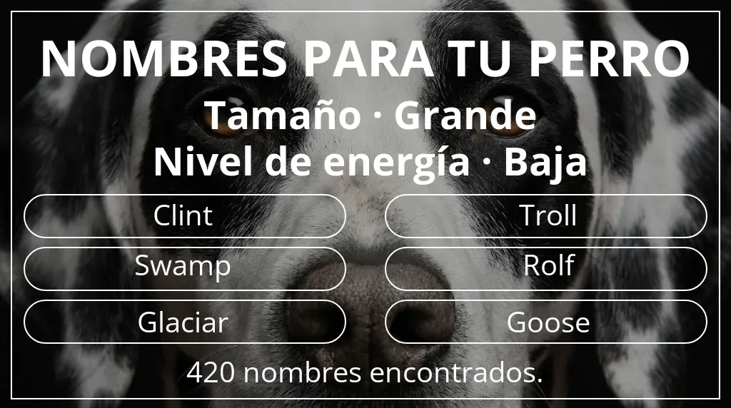 Nombres de perro inspirados en tamaño grande y nivel de energía baja