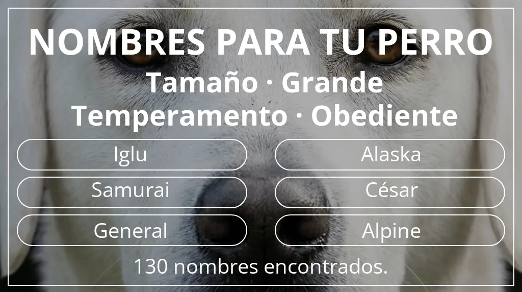 Nombres para perro basados en tamaño grande y temperamento obediente
