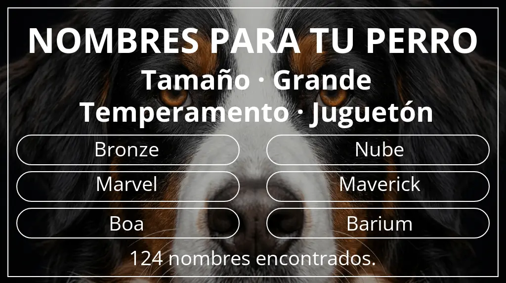 Nombres para perro basados en tamaño grande y temperamento juguetón