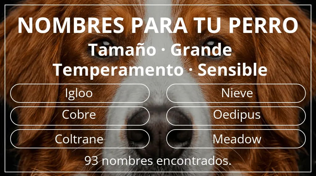 Nombres de perro basados en tamaño grande y temperamento sensible