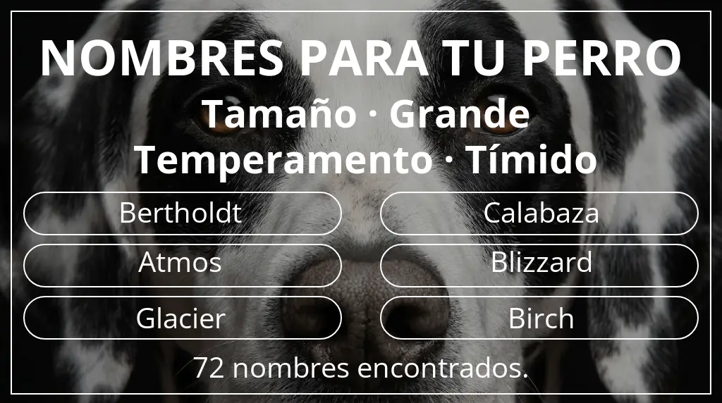 Nombres de perro inspirados en tamaño grande y temperamento tímido