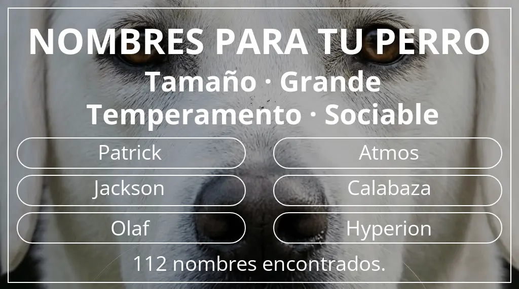 Nombres de perro basados en tamaño grande y temperamento sociable