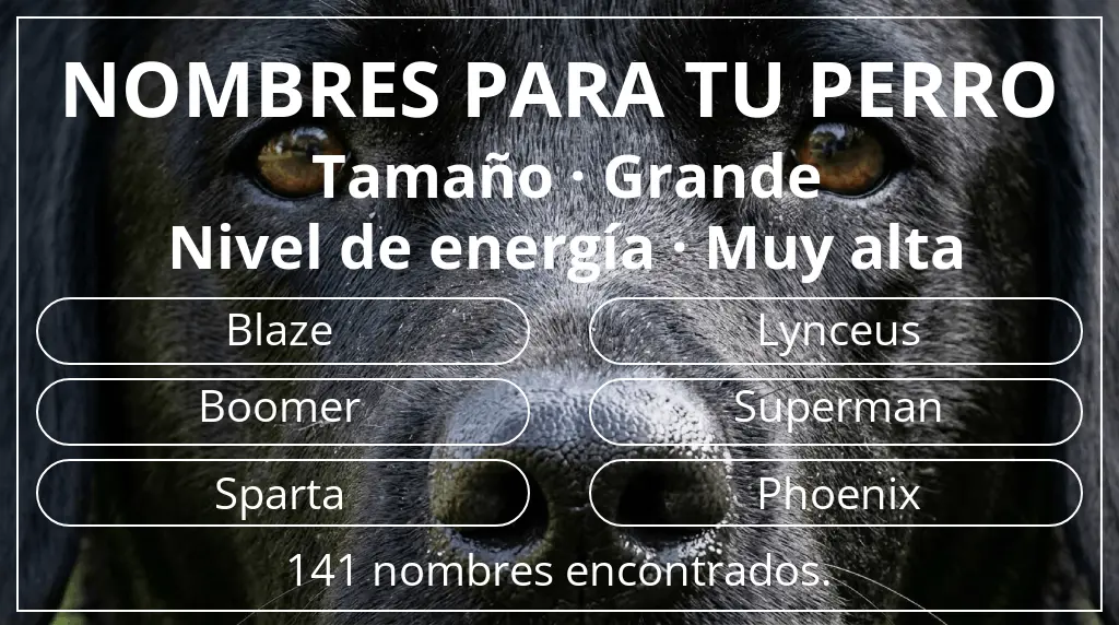 Nombres para perro inspirados en tamaño grande y nivel de energía muy alta