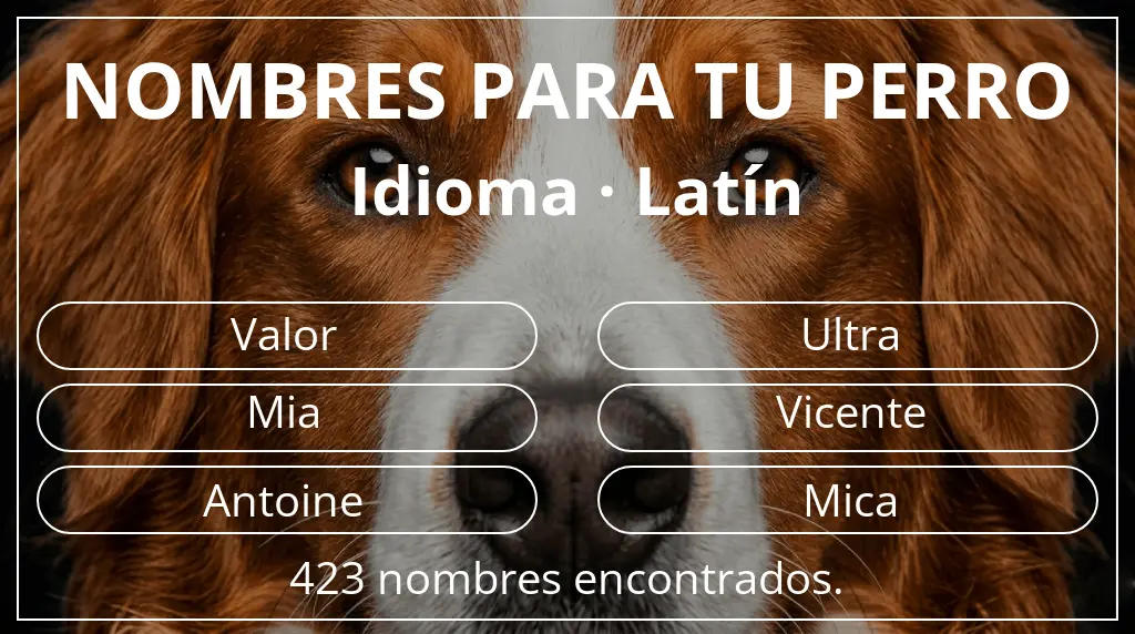 Nombres para perro basados en idioma latín