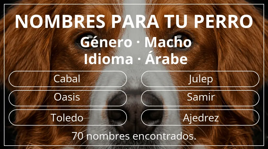 Nombres para perro basados en género macho y idioma árabe