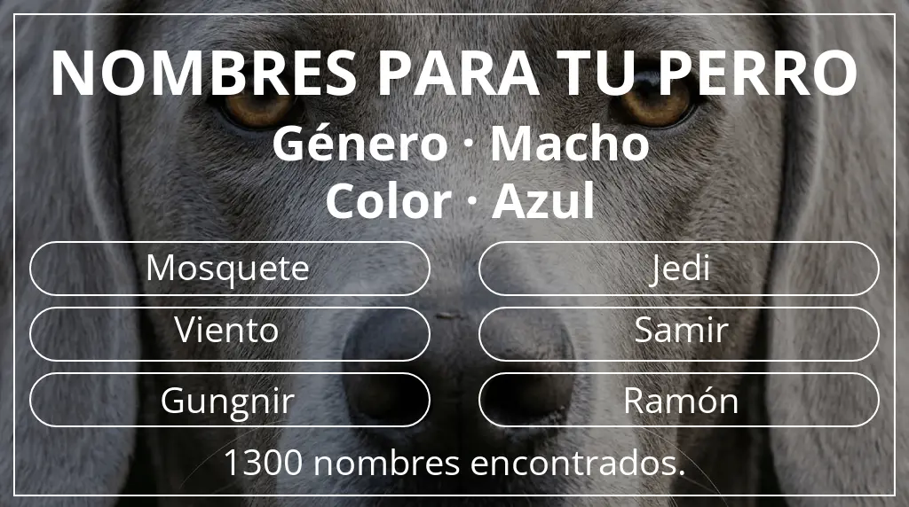 Nombres de perro basados en género macho y color azul