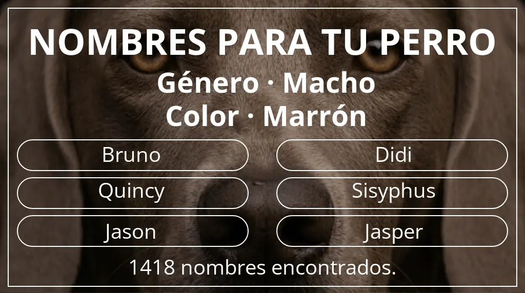 Nombres para perro inspirados en género macho y color marrón