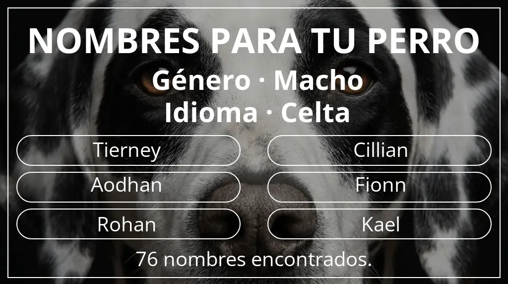 Nombres para perro basados en género macho y idioma celta