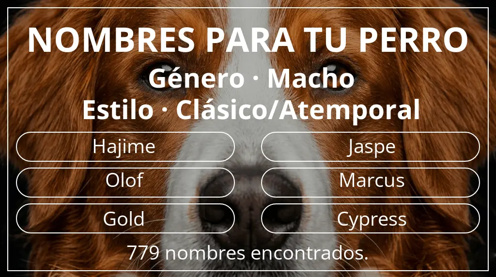 Nombres para perro basados en género macho y estilo clásico/atemporal