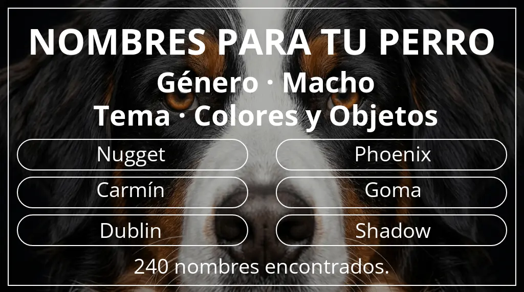 Nombres de perro basados en género macho y tema colores y objetos
