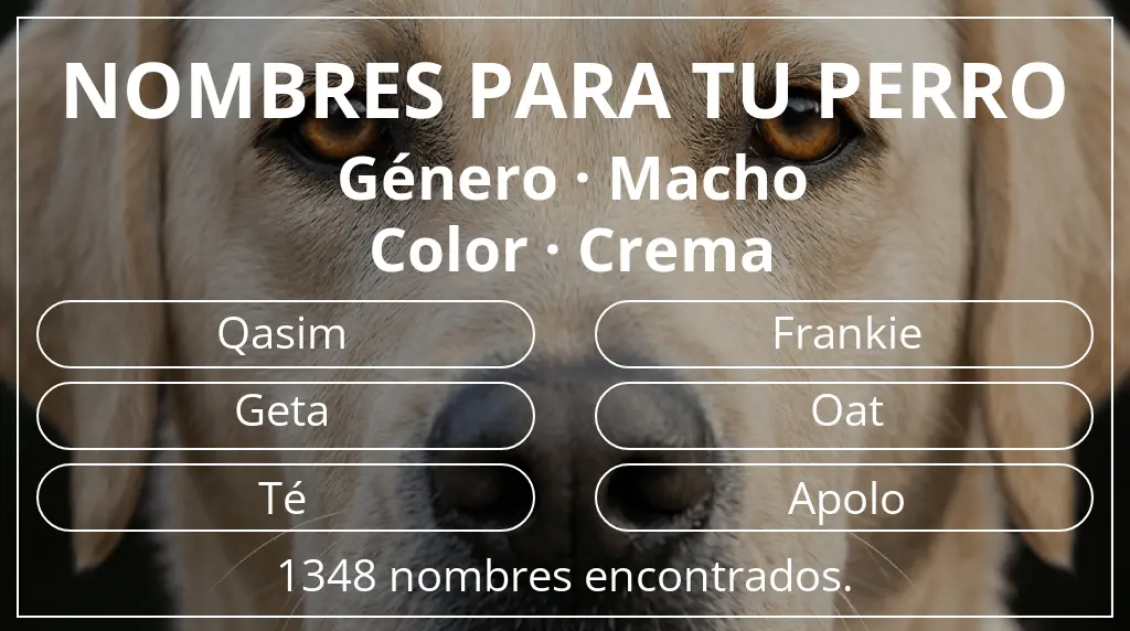Nombres para perro inspirados en género macho y color crema