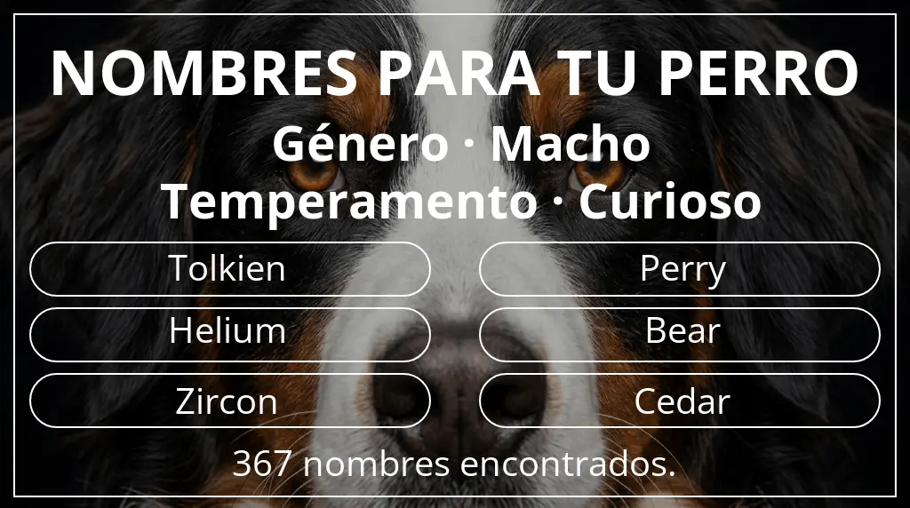 Nombres de perro inspirados en género macho y temperamento curioso