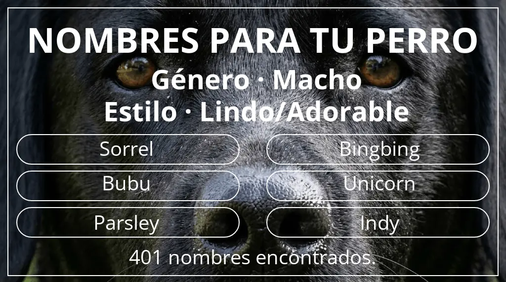 Nombres de perro inspirados en género macho y estilo lindo/adorable