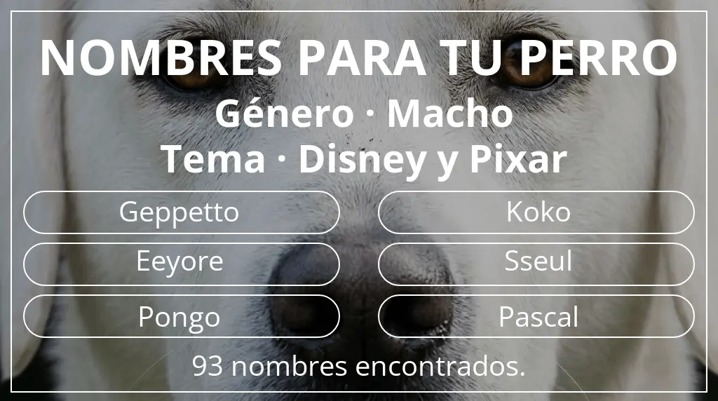 Nombres para perro basados en género macho y tema disney y pixar