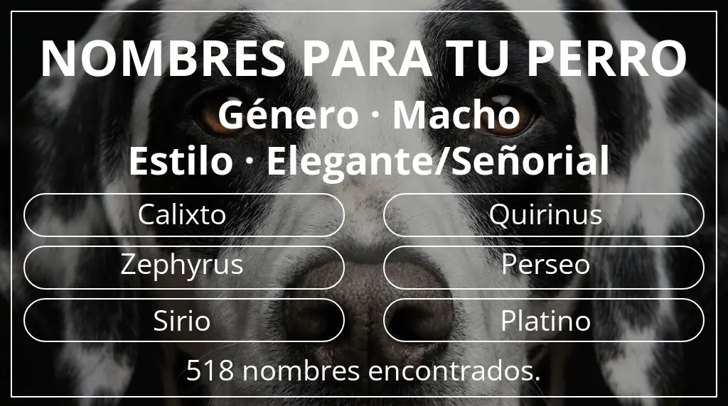 Nombres para perro inspirados en género macho y estilo elegante/señorial
