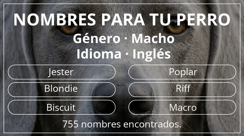 Nombres de perro basados en género macho y idioma inglés