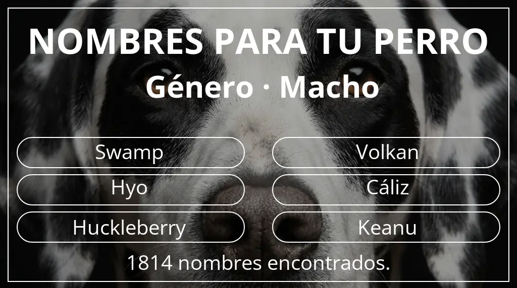 Nombres para perro basados en género macho