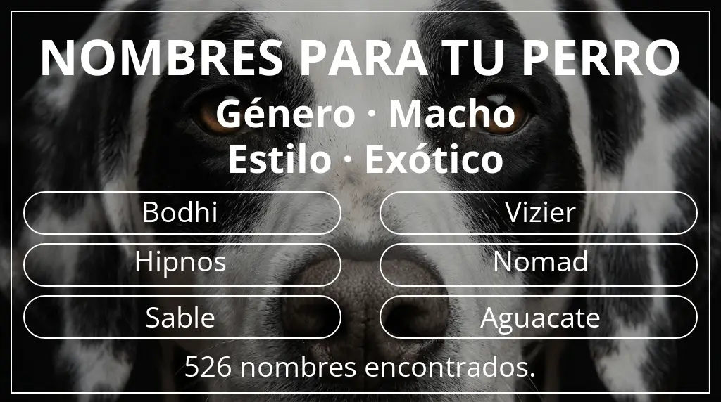 Nombres de perro inspirados en género macho y estilo exótico