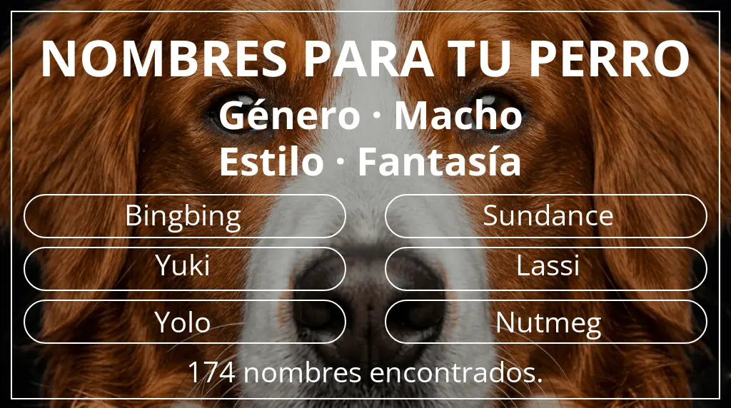 Nombres de perro inspirados en género macho y estilo fantasía