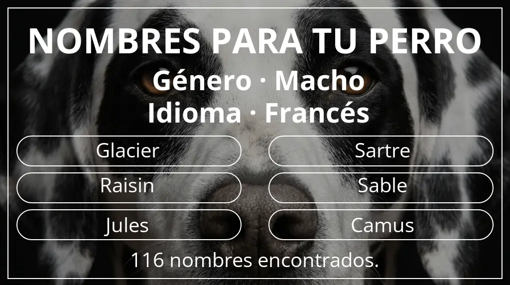 Nombres de perro basados en género macho y idioma francés