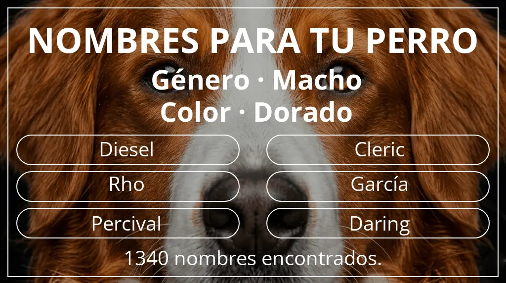Nombres para perro basados en género macho y color dorado
