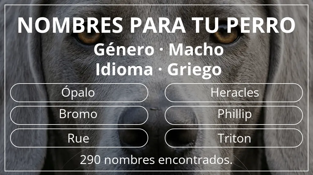 Nombres para perro inspirados en género macho y idioma griego