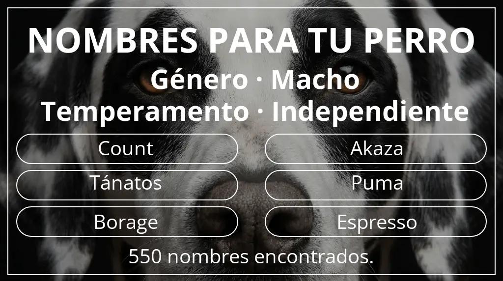 Nombres de perro inspirados en género macho y temperamento independiente