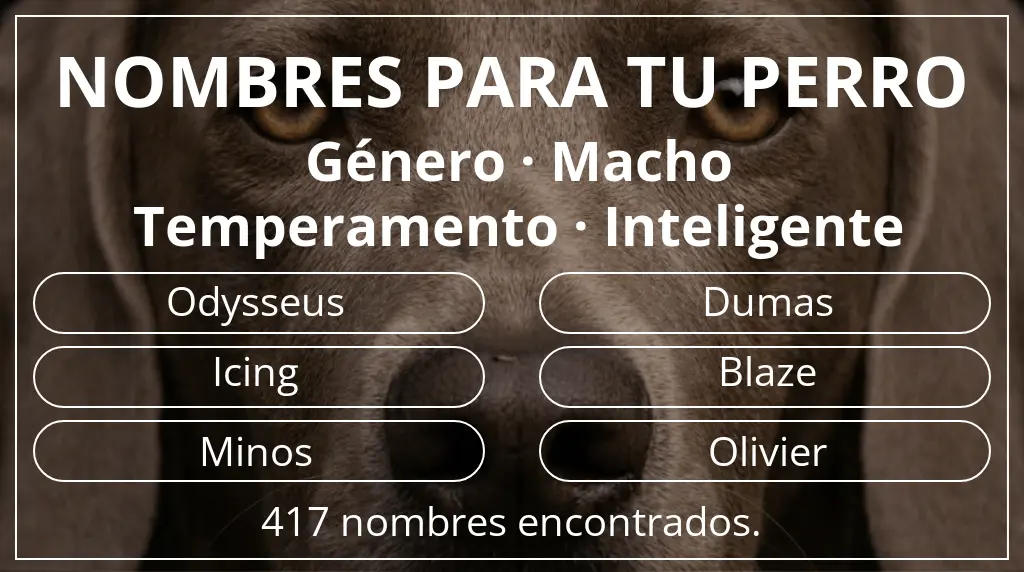Nombres para perro basados en género macho y temperamento inteligente