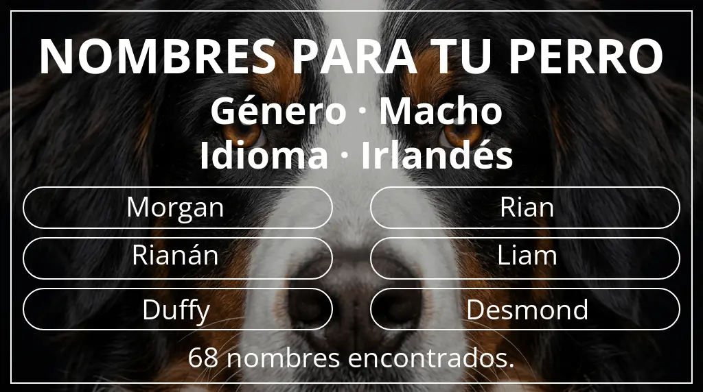Nombres de perro basados en género macho y idioma irlandés