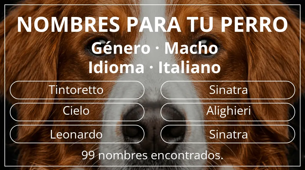 Nombres de perro inspirados en género macho y idioma italiano