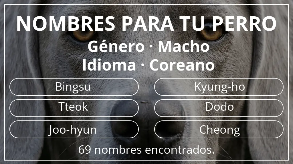Nombres para perro inspirados en género macho y idioma coreano