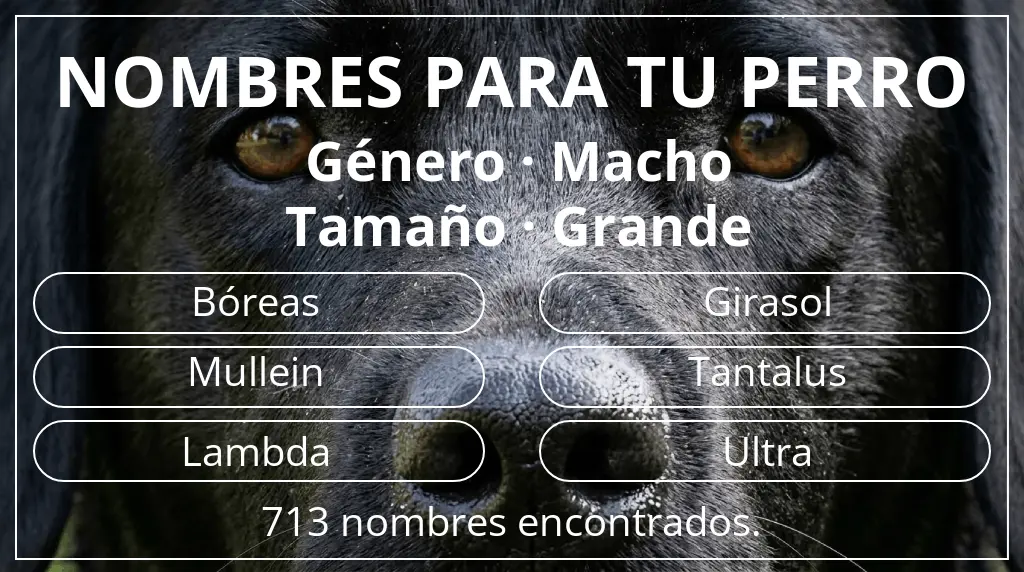 Nombres para perro inspirados en género macho y tamaño grande
