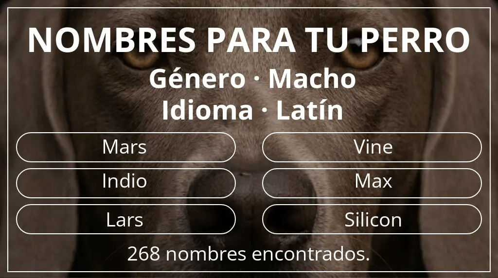 Nombres de perro basados en género macho y idioma latín