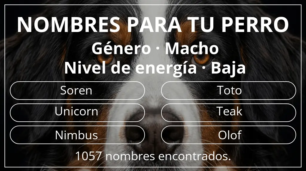 Nombres para perro basados en género macho y nivel de energía baja