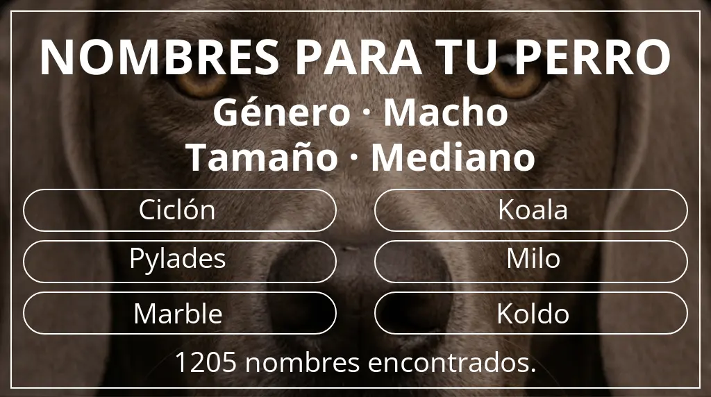 Nombres para perro basados en género macho y tamaño mediano