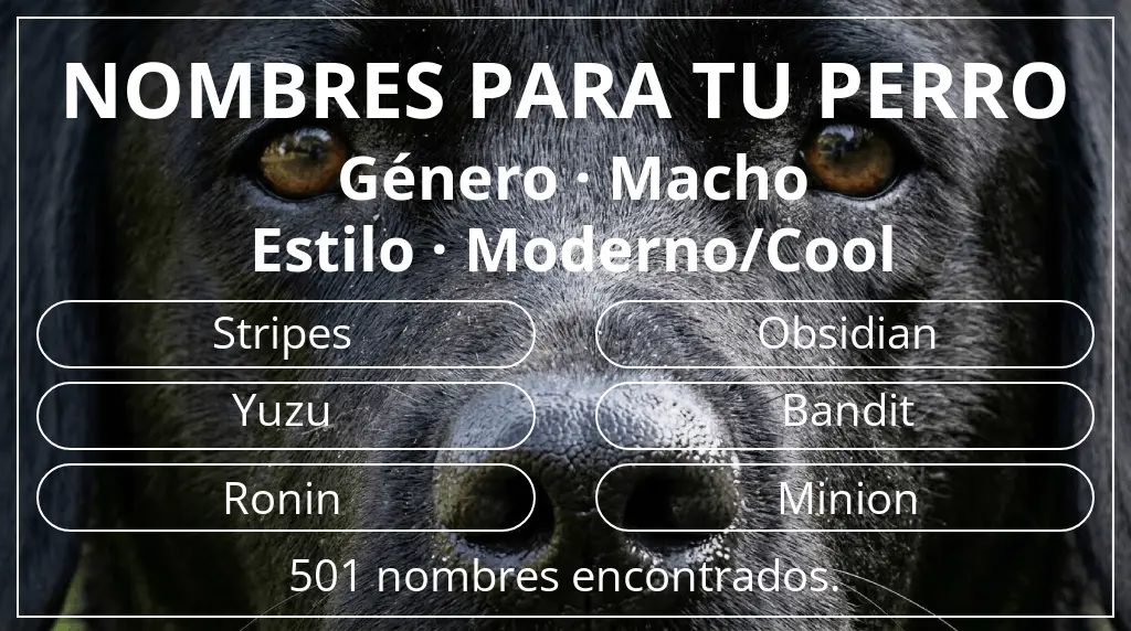 Nombres de perro inspirados en género macho y estilo moderno/cool