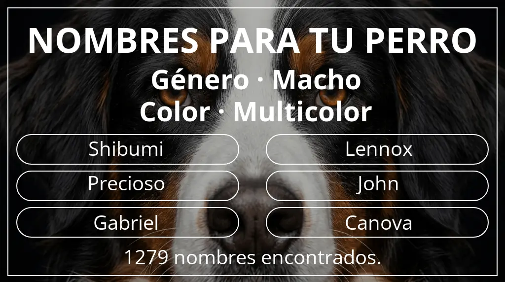 Nombres para perro basados en género macho y color multicolor