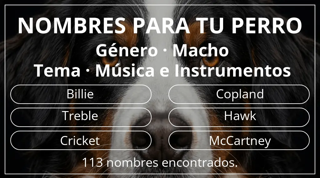Nombres de perro basados en género macho y tema música e instrumentos