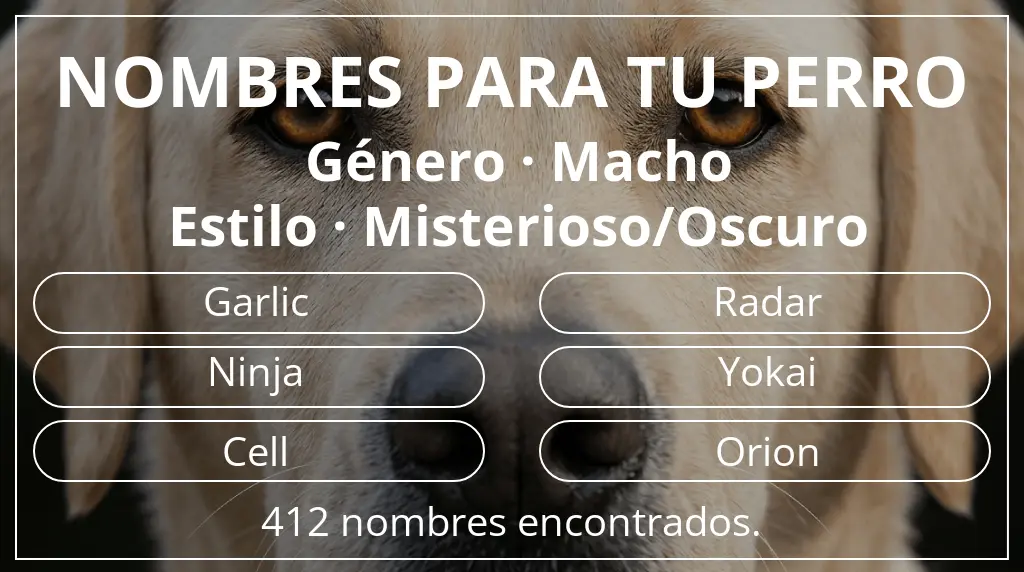 Nombres de perro inspirados en género macho y estilo misterioso/oscuro