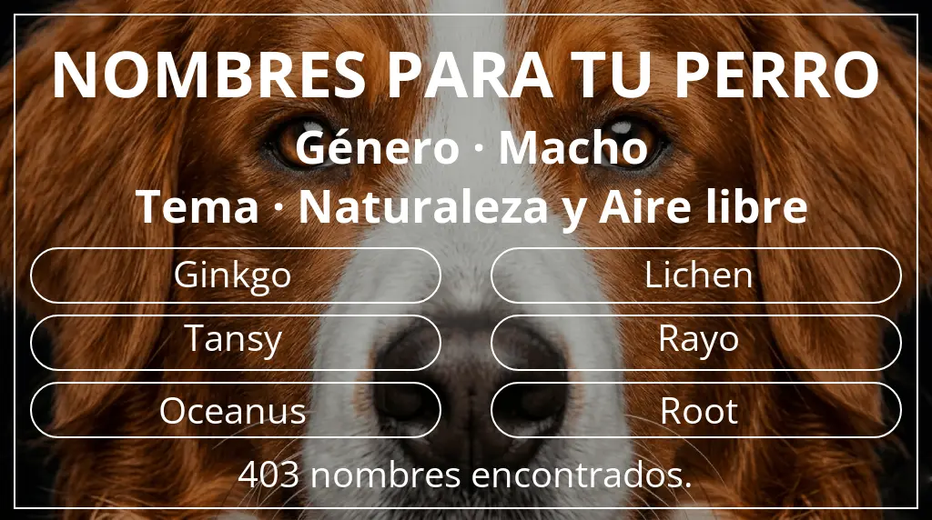 Nombres para perro basados en género macho y tema naturaleza y aire libre