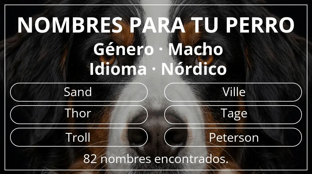 Nombres para perro inspirados en género macho y idioma nórdico