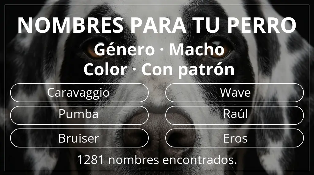 Nombres de perro inspirados en género macho y color con patrón