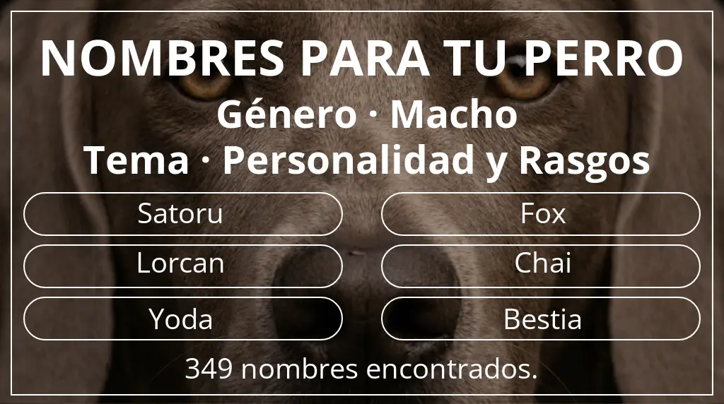 Nombres de perro inspirados en género macho y tema personalidad y rasgos