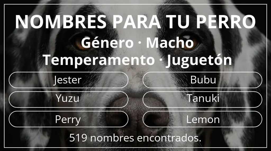 Nombres para perro basados en género macho y temperamento juguetón